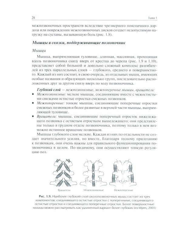 Система физических упражнений Пилатеса при дефектах осанки и последствиях заболеваний и травм