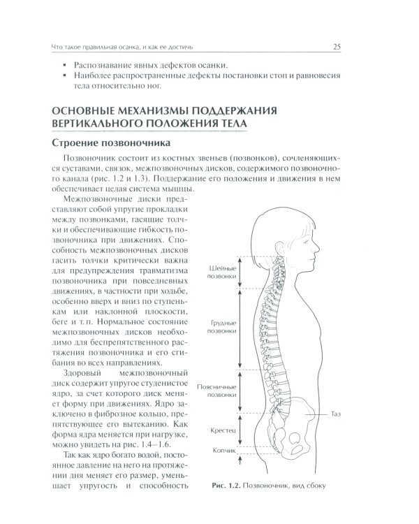 Система физических упражнений Пилатеса при дефектах осанки и последствиях заболеваний и травм