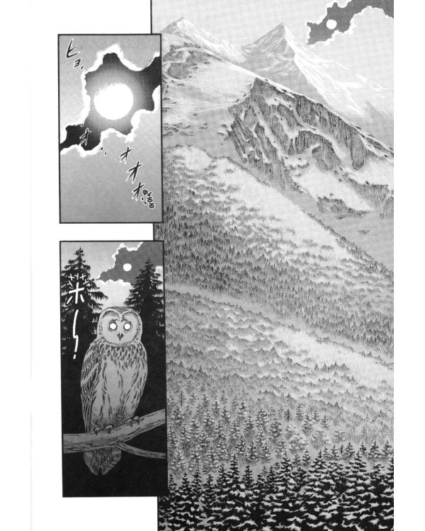 Берсерк. Т. 5: манга