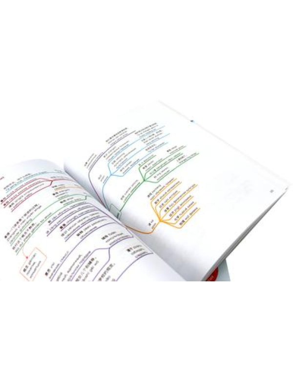 Китайский в схемах-паутинках. Уровни 1-6 (комплект из 4-х книг)