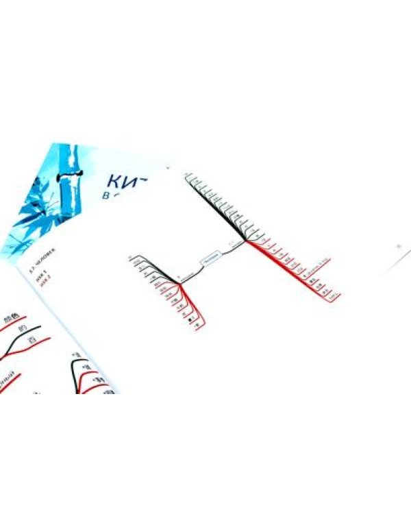 Китайский в схемах-паутинках. Уровни 1-6 (комплект из 4-х книг)