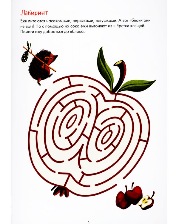 Занимательная зоология. Большая книга раскрасок, лабиринтов и головоломок