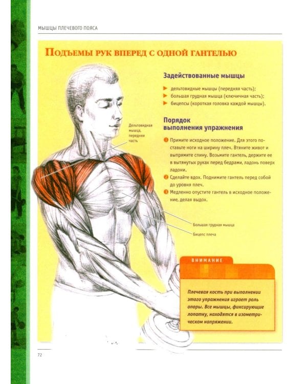 Анатомия силовых упражнений для мужчин и женщин