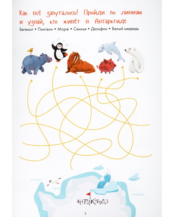 Занимательная зоология. Большая книга раскрасок, лабиринтов и головоломок