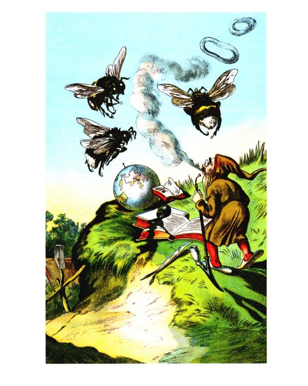 История о гномах и сиротке Марысе