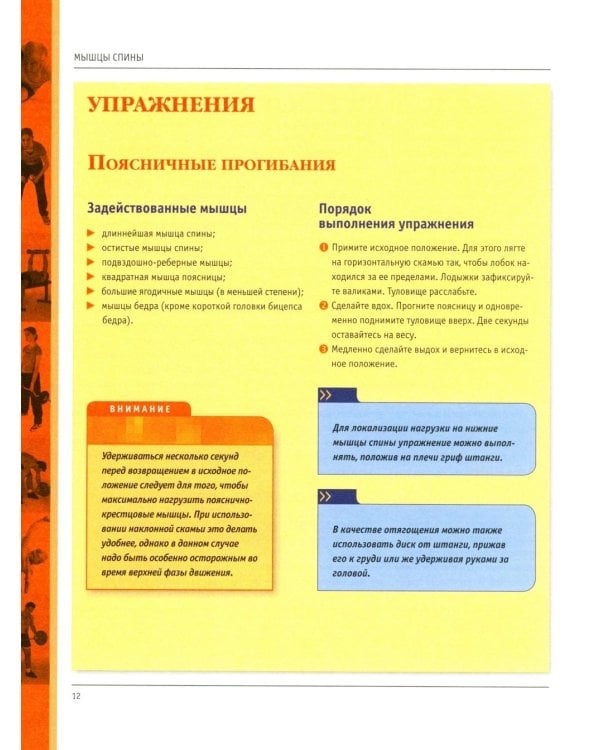 Анатомия силовых упражнений для мужчин и женщин