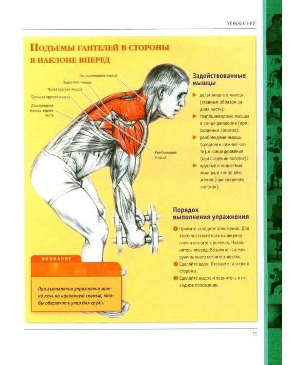 Анатомия силовых упражнений для мужчин и женщин