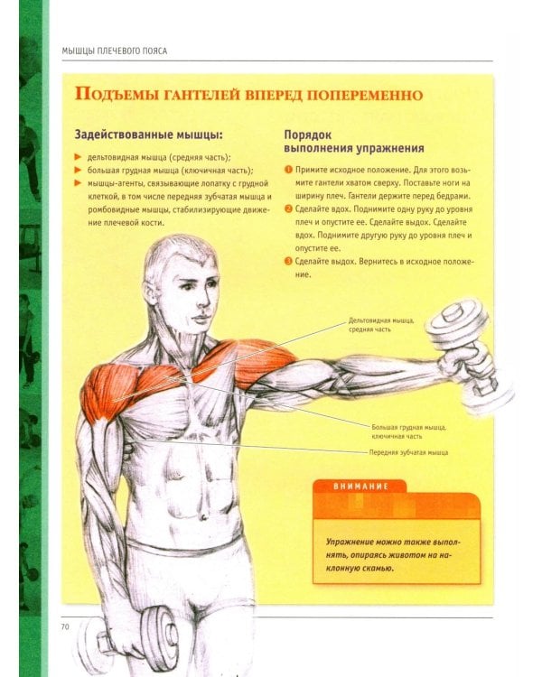 Анатомия силовых упражнений для мужчин и женщин