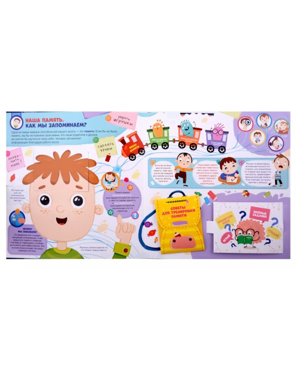 Мозг: книжка-панормамка