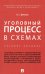 Уголовный процесс в схемах: Учебное пособие