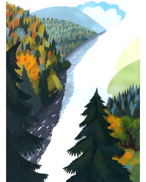 Бобренок Бом и скрипка филина