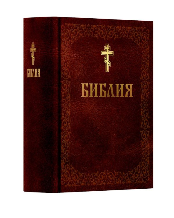Библия. Книга Священного Писания: Ветхого и Нового Завета. (Коричниевая)