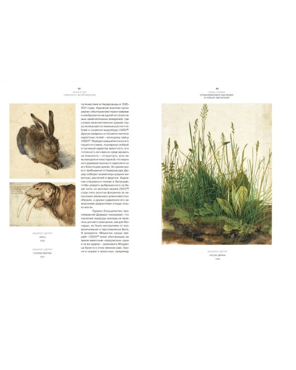 Искусство Северного Возрождения. Духовные и интеллектуальные движения. 2-е изд., испр