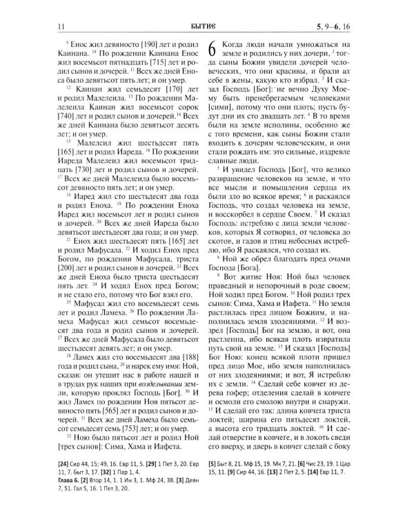 Библия. Книга Священного Писания: Ветхого и Нового Завета. (Синяя)