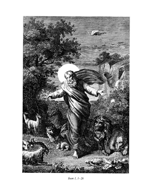 Библия. Книга Священного Писания: Ветхого и Нового Завета. (Синяя)