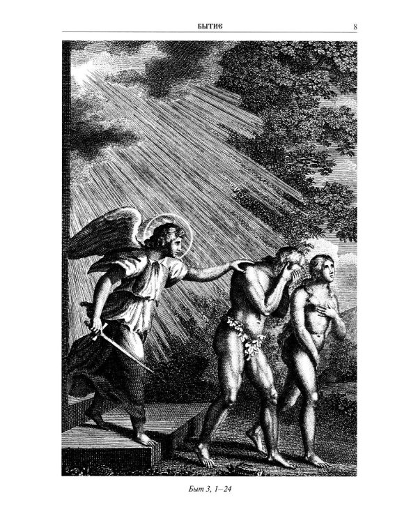 Библия. Книга Священного Писания: Ветхого и Нового Завета. (Синяя)