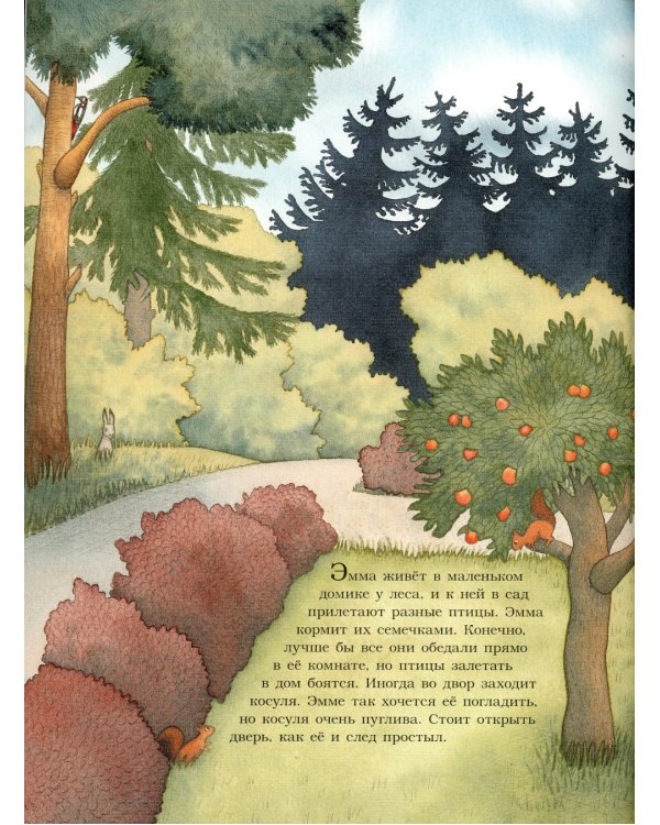 Живи, гусеничка!: книжка-картинка