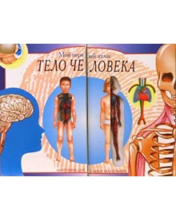 Тело человека. Мой первый атлас