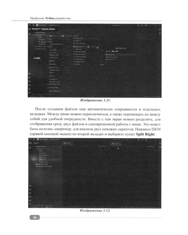 Профессия: Python-разработчик