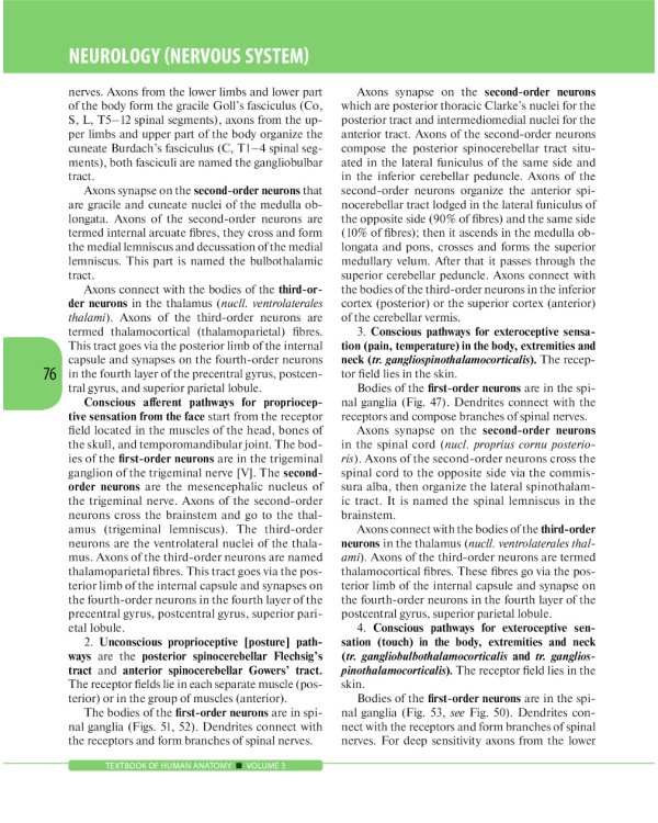 Textbook of Human Anatomy. In 3 vol. Vol. 3: Nervous system. Esthesiology: на англ.яз