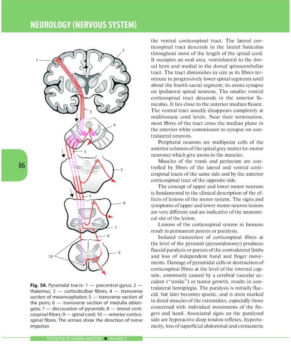 Textbook of Human Anatomy. In 3 vol. Vol. 3: Nervous system. Esthesiology: на англ.яз