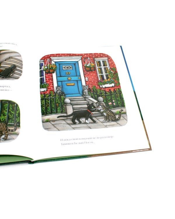 Верхом на помеле; Тимоти Скотт (комплект из 2-х книг)