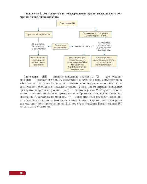 Тактика ведения пациента в пульмонологии: практическое руководство