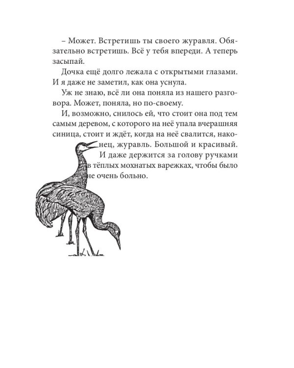 Огненные чайки: скази и истории о птицах