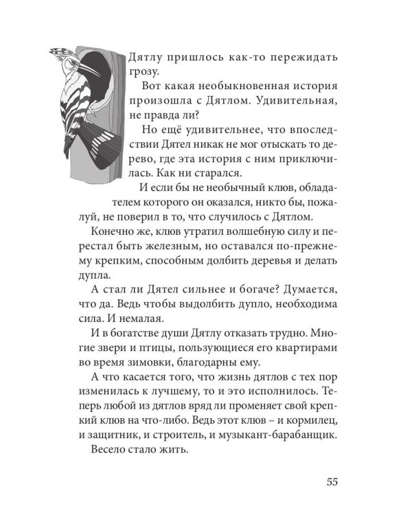 Огненные чайки: скази и истории о птицах