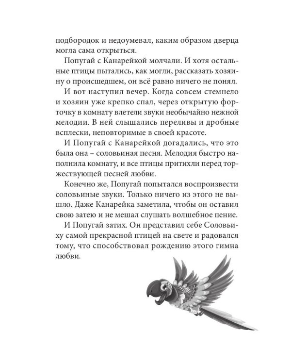 Огненные чайки: скази и истории о птицах