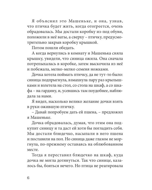 Огненные чайки: скази и истории о птицах