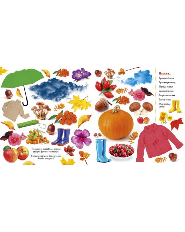Найди и покажи. Фотокнига. Времена года