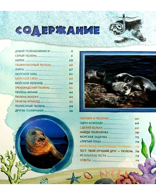 Тюлень Ластик и его друзья