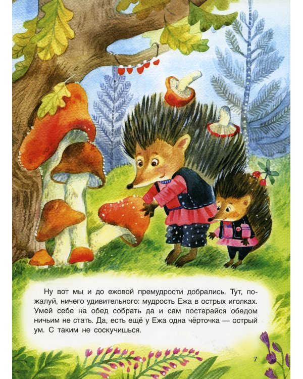 Книга лесной премудрости