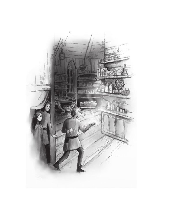 Школяр. Из цикла «Новый свет. Хроники». Книга 2