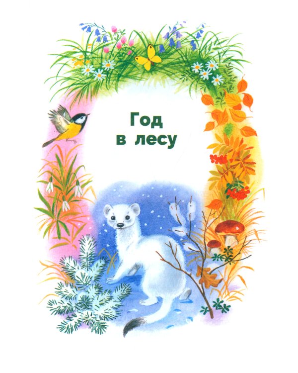 Рассказы о природе