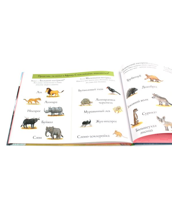 Дочурка Груффало + Мы ужаснее всех (комплект из 2-х книг)