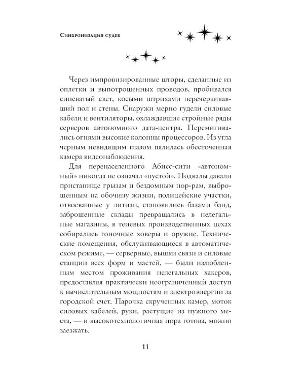 Синхронизация судеб: роман