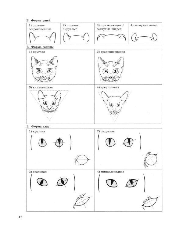 ОГЭ 2026. Биология. 32 варианта. Типовые варианты экзаменационных заданий