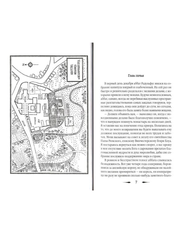 Тень ворона: роман