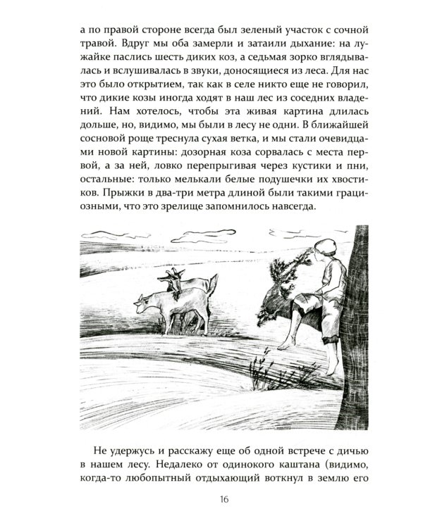 Жизнь и труд на целине