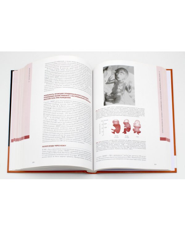 Нефрология и водно-электролитный обмен