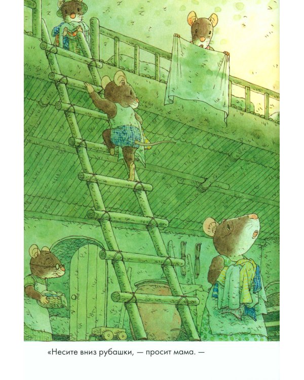 14 лесных мышей. Стирка