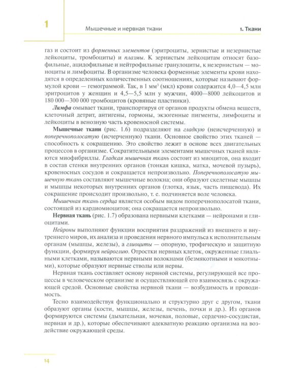 Универсальный атлас анатомии человека: Учебное пособие для студентов медицинских учебных заведений