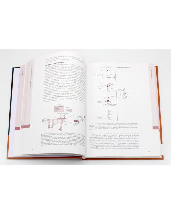 Нефрология и водно-электролитный обмен