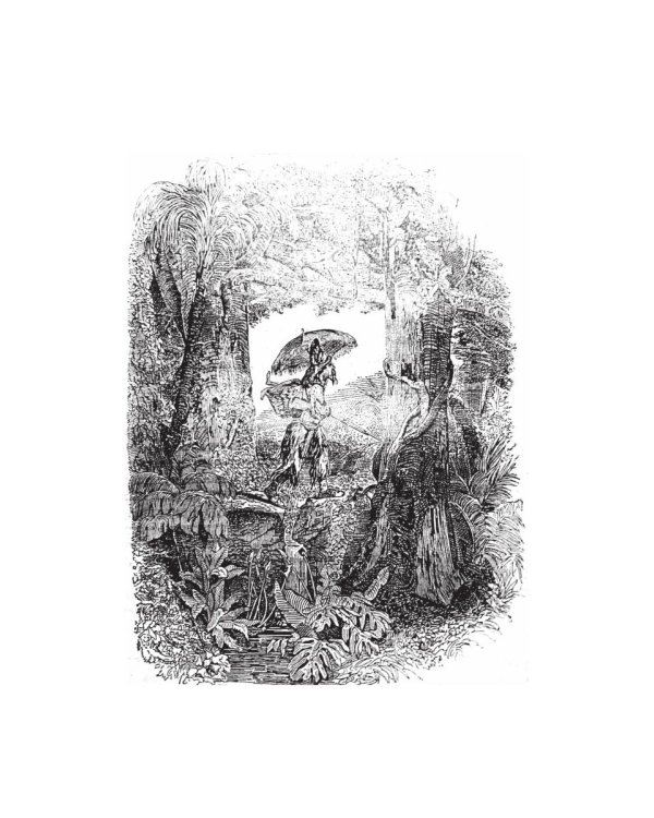 Жизнь и удивительные приключения морехода Робинзона Крузо: роман