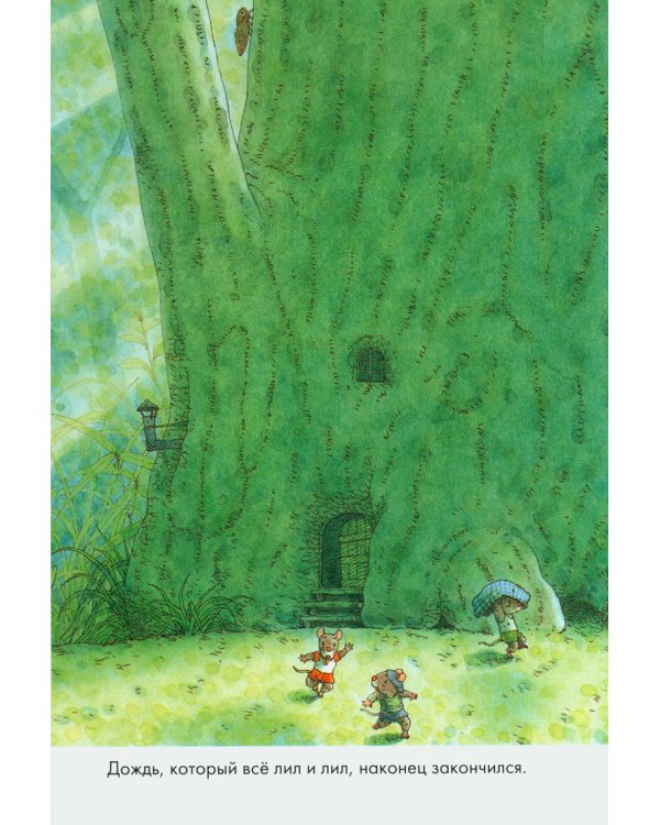 14 лесных мышей. Стирка