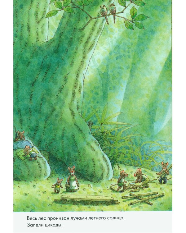 14 лесных мышей. Стирка