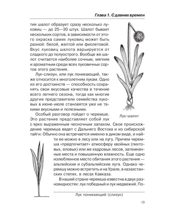 Лечением луком