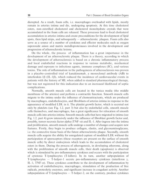 Internal Diseases: textbook. In 2 v. Vol. 1: на англ.языке. 4-е изд. перераб.